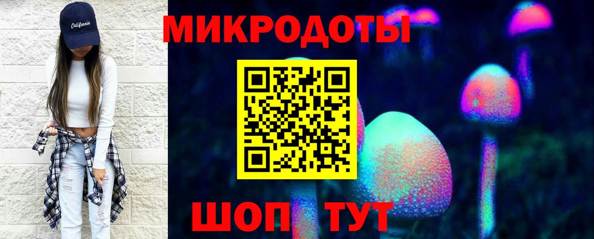 Галлюциногенные грибы мухоморы Камышлов