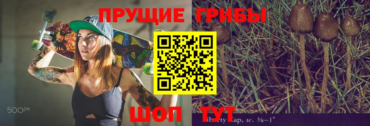 Псилоцибиновые грибы мухоморы  Псилоцибиновые грибы Magic Shrooms  Вход с VPN  Камышлов 